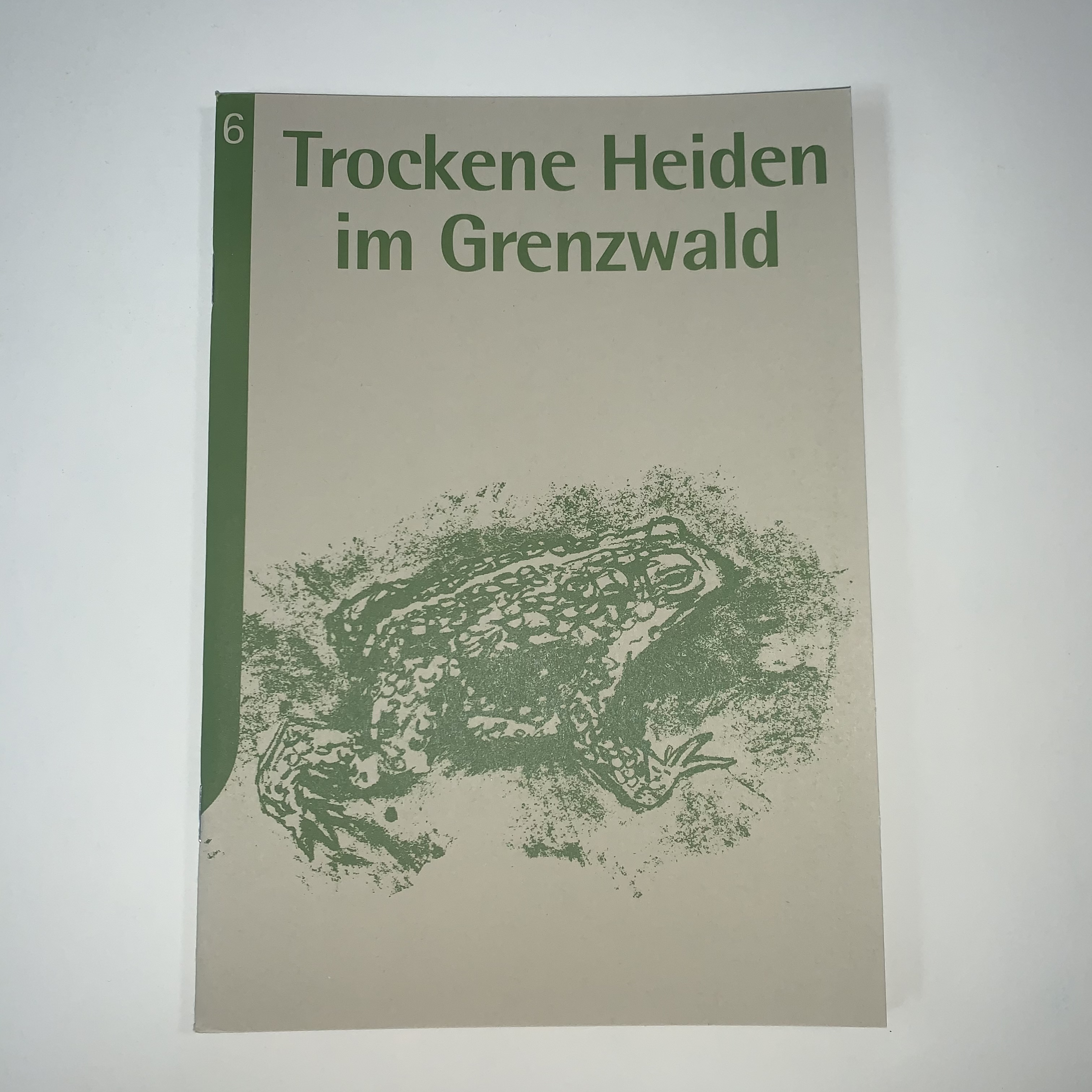 Trockene Heiden im Grenzwald