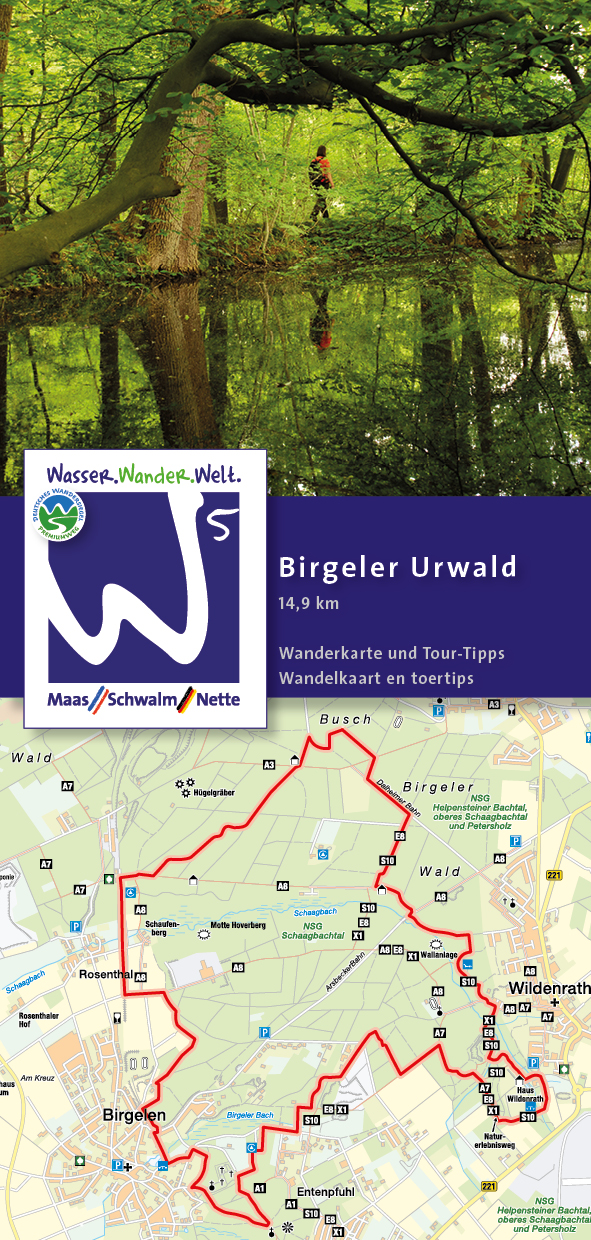 Premium-Wanderweg "Birgeler Urwald"